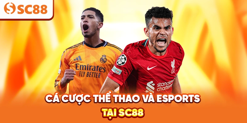 Cược thể thao SC88 hấp dẫn