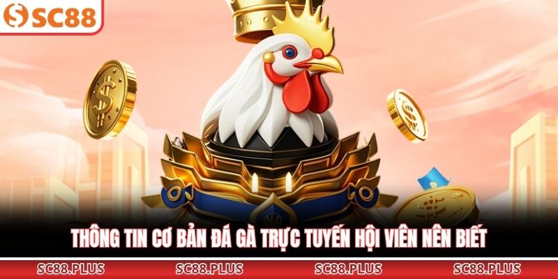 Thông tin cơ bản đá gà trực tuyến hội viên nên biết