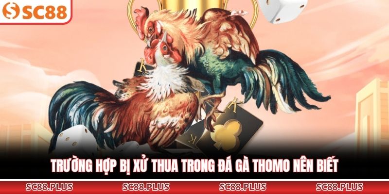 Trường hợp bị xử thua trong đá gà Thomo nên biết
